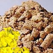 قیمت بهترین